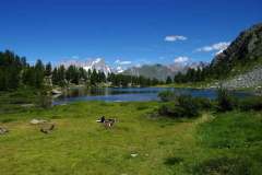 Il-Lago-dArpy-e-uno-splendido-lago-alpino-