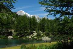 Il-Lago-dArpy-e-uno-splendido-lago-alpino-7