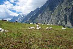 Rifugio-Walter-Bonatti-UnOasi-Alpina-nella-Val-Ferret-13