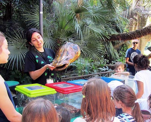 Al Bioparco di Roma. In occasione della Festa della mamma