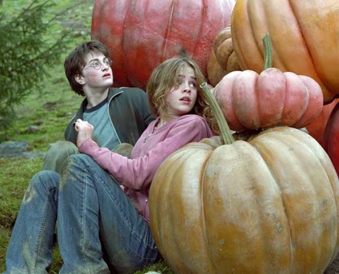 HP3 Still 20