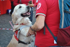 Croce Rossa di Roma "arriva il docu-film su animali e uomini"