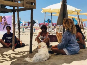 Tutela Ambientale ed Etologica “Al BAUBEACH®”