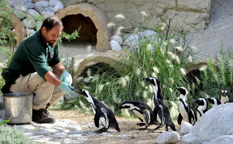 Capodanno al Bioparco di Roma.