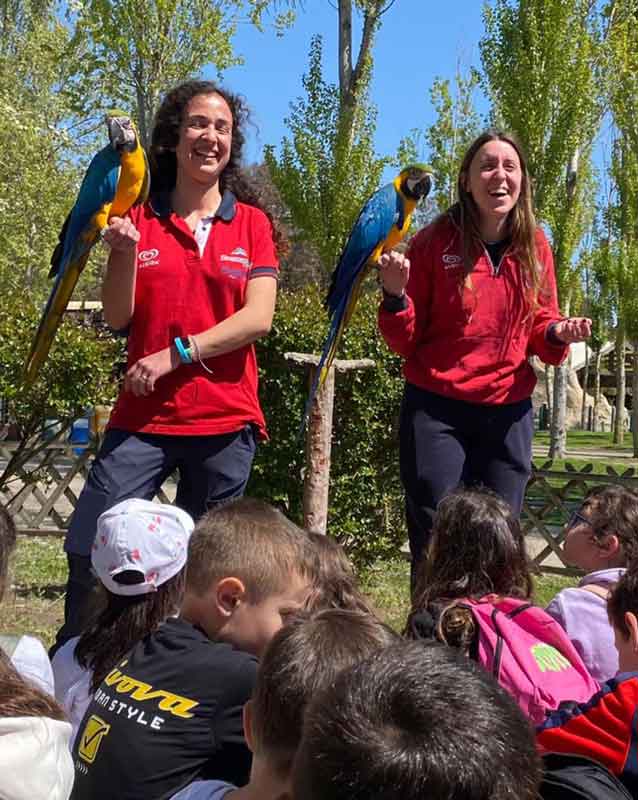 Educazione e Divertimento isturrici con pappagalli