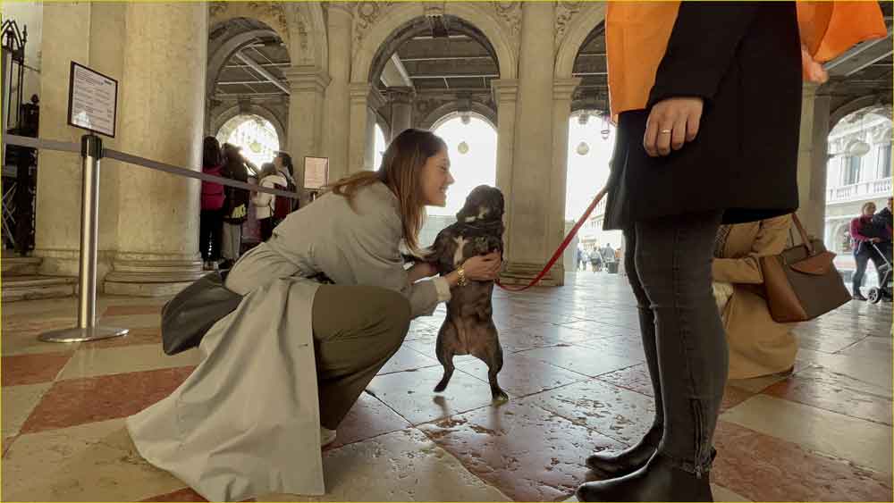 Dogs & Museum Road Show a Venezia con la sua padroncina