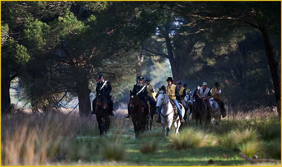 Horse Green Experience carabinieri