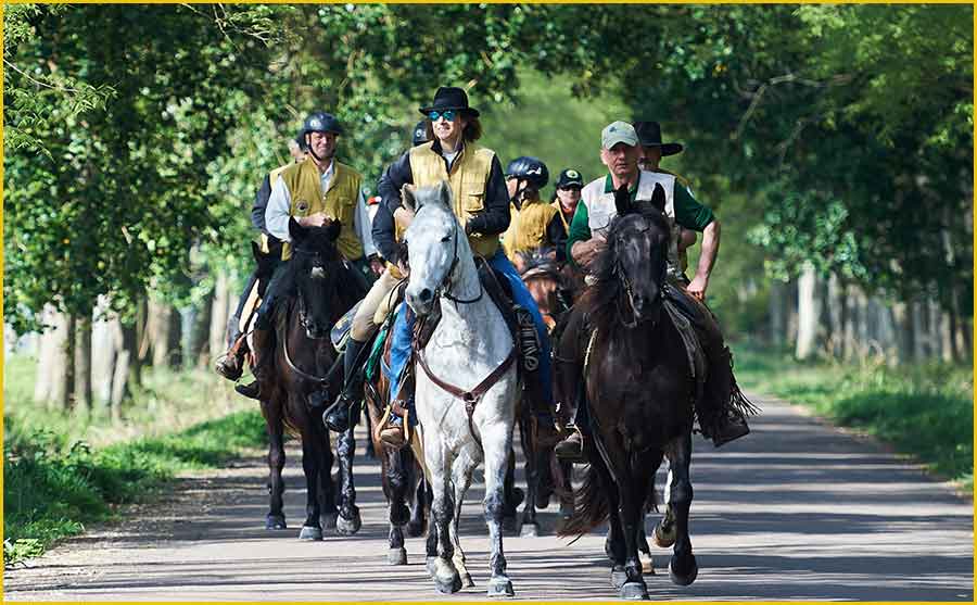 Horse Green Experience pellegrini a cavallo